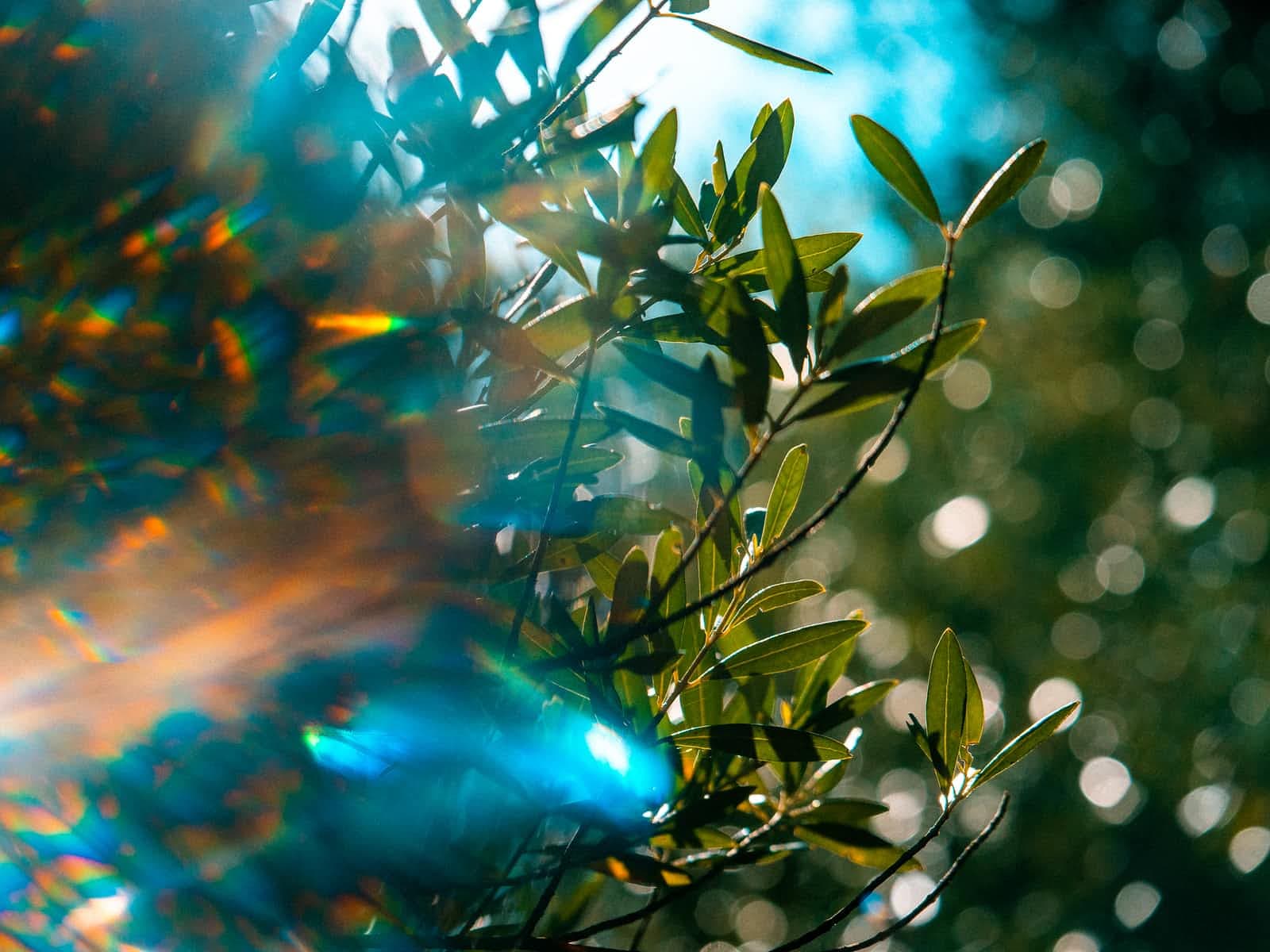 Creating and optimizing custom blurs with OpenCV on Android